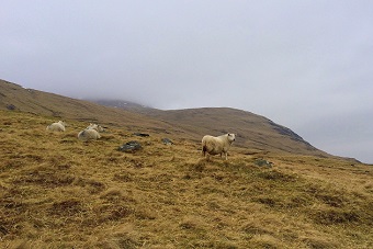 Moses – silence and action